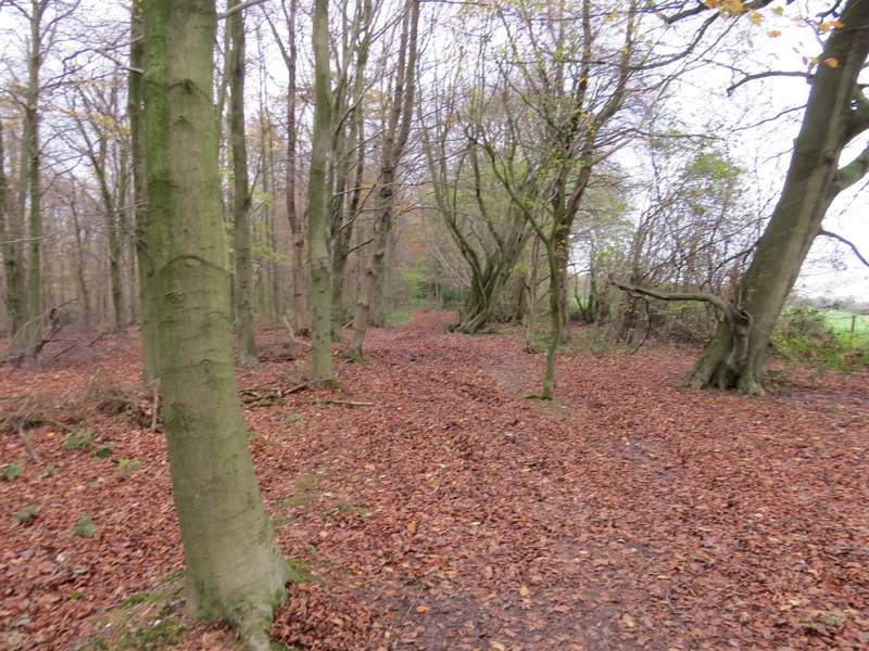 Pete's Walks Great Missenden and Coombe Hill (page 2 of 5)